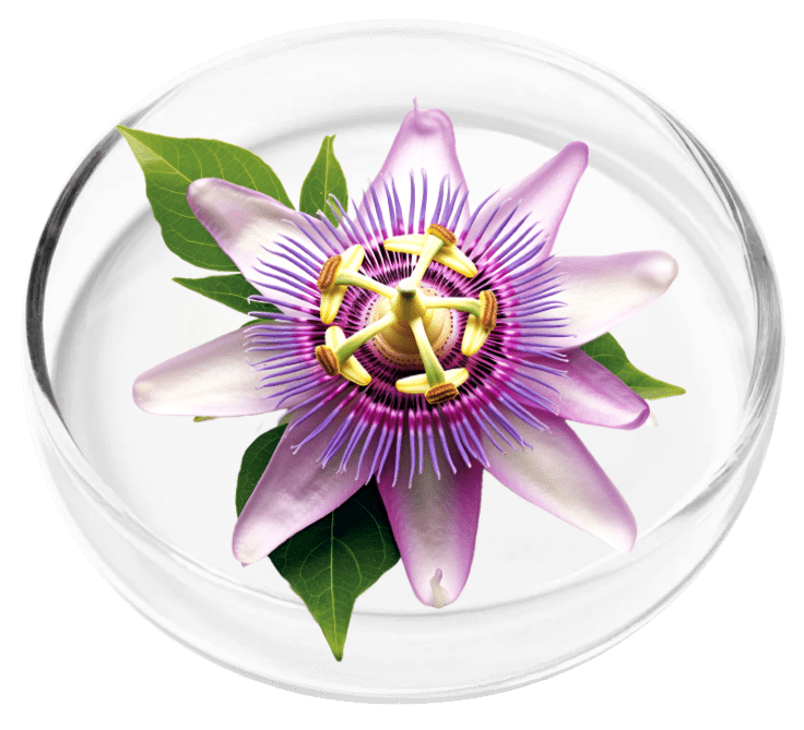 ingredient1-Passion Flower