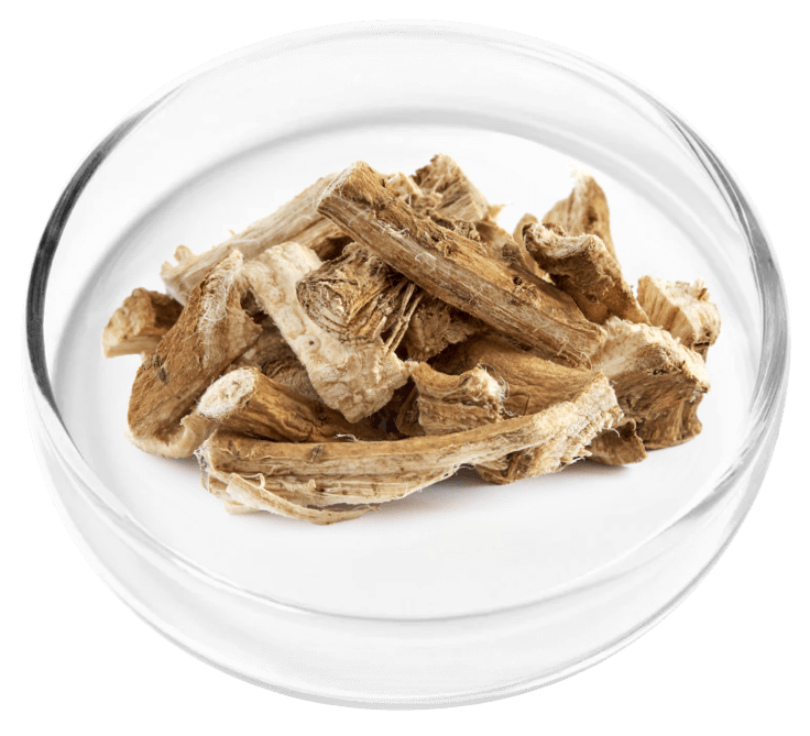 ingredient2-Marshmallow Root